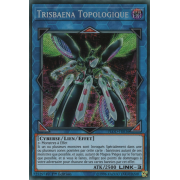 FLOD-FR036 Trisbaena Topologique Secret Rare