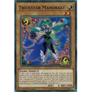 FLOD-EN007 Trickstar Mandrake Commune