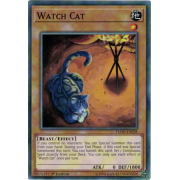 FLOD-EN028 Watch Cat Commune