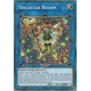 FLOD-EN039 Trickstar Bloom Commune