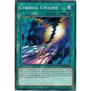 FLOD-EN053 Cybersal Cyclone Commune