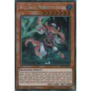 DASA-FR022 Wiz, Sage Mercefourrure Secret Rare