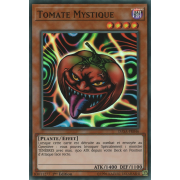 DASA-FR046 Tomate Mystique Super Rare