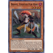 DASA-EN019 Bravo, Fighter Fur Hire Super Rare