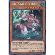 DASA-EN022 Wiz, Sage Fur Hire Secret Rare