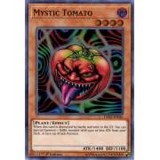 DASA-EN046 Mystic Tomato Super Rare