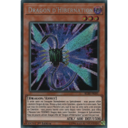 BLRR-FR041 Dragon d'Hibernation Secret Rare