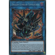 BLRR-FR043 Dragon Gumblar Topologique Secret Rare