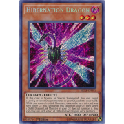 BLRR-EN041 Hibernation Dragon Secret Rare