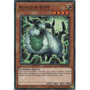 YS18-FR006 Nuageur RAM Commune