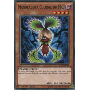 YS18-FR016 Mandragora Colonie du Mal Commune