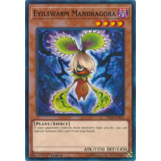 YS18-EN016 Evilswarm Mandragora Commune