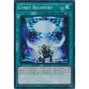 YS18-EN021 Cynet Recovery Super Rare