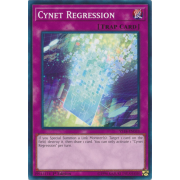 YS18-EN033 Cynet Regression Commune