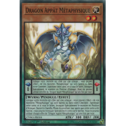 CYHO-FR018 Dragon Appât Métaphysique Commune