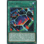 CYHO-FR051 Cynet Rituel Rare