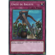 CYHO-FR077 Unité de Baliste Commune