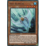 CYHO-FR096 Raie Blanche Rare