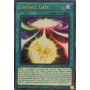 CYHO-ENSP1 Contact Gate Ultra Rare