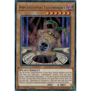 CYHO-EN013 Impcantation Talismandra Rare