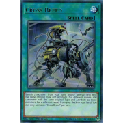 CYHO-EN066 Cross Breed Rare