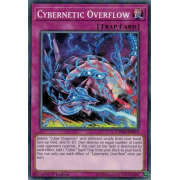 CYHO-EN073 Cybernetic Overflow Commune