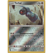 SL07_93/168 Terhal Inverse