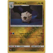 SL07_105/168 Drackhaus Inverse