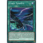 SDPL-FR021 Cynet Tempête Commune