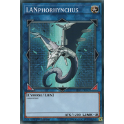 SDPL-FR042 LANphorhynchus Commune