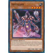 SDPL-EN006 Antialian Commune