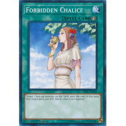 SDPL-EN024 Forbidden Chalice Commune