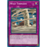 SDPL-EN032 Wild Tornado Commune