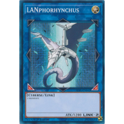 SDPL-EN042 LANphorhynchus Commune