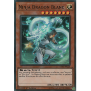 SHVA-FR024 Ninja Dragon Blanc Super Rare