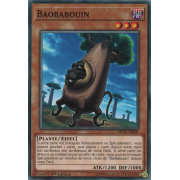 MP18-FR009 Baobabouin Commune