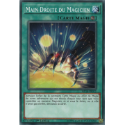 MP18-FR012 Main Droite du Magicien Commune