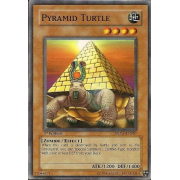 SDZW-EN007 Pyramid Turtle Commune