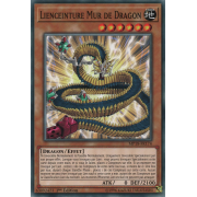 MP18-FR174 Lienceinture Mur de Dragon Commune