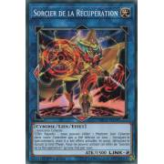 MP18-FR198 Sorcier de la Récupération Commune