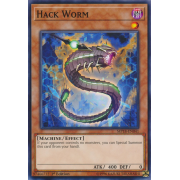 MP18-EN041 Hack Worm Commune