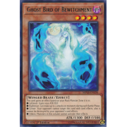 MP18-EN190 Ghost Bird of Bewitchment Rare