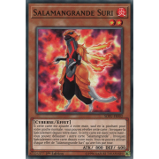 SOFU-FR002 Salamangrande Suri Commune