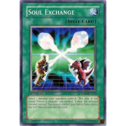 SDRL-EN021 Soul Exchange Commune