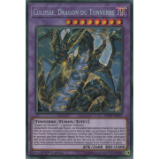 SOFU-FR037 Colosse, Dragon du Tonnerre Secret Rare