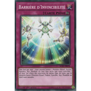 SOFU-FR076 Barrière d'Invincibilité Commune