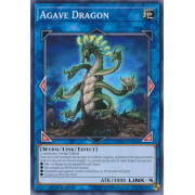 SOFU-EN048 Agave Dragon Commune