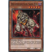 SR07-FR007 Décomposition Sans Fin Commune