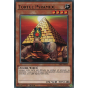 SR07-FR015 Tortue Pyramide Commune