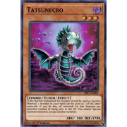 SR07-EN000 Tatsunecro Super Rare